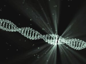 痴漢冤罪から身を守る方法 ちーものてくてくブログ 痴漢冤罪から身を守る方法 ちーものてくてくブログ